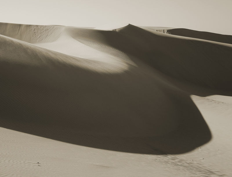 Ray Charles White Dune: With Respect to Alejandro Jodorowsky, 2014