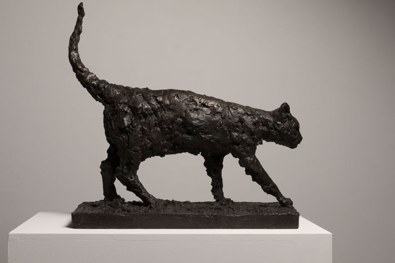 Nicola Hicks Tom, 2017