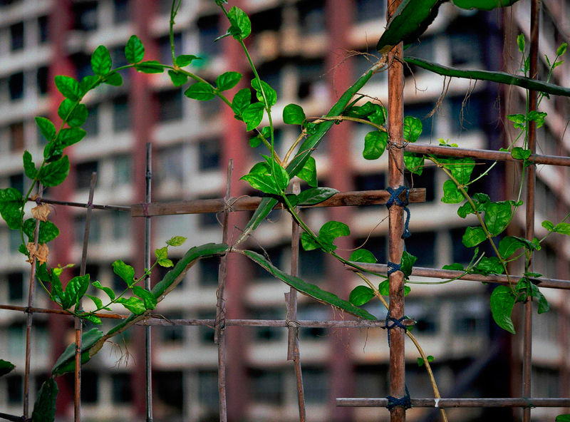 Michael Wolf Informal Solutions #8, 2003 - 17