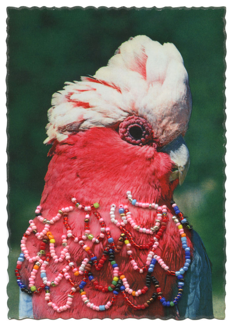 Julie Cockburn, Pretty Boy , 2021