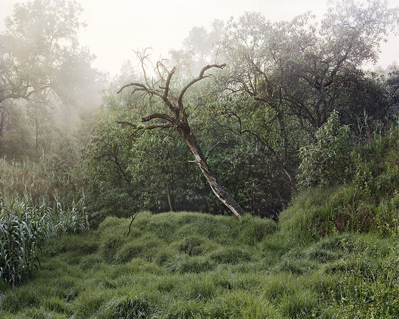 Janelle Lynch Untitled 6 (La Fosa Común), 2007