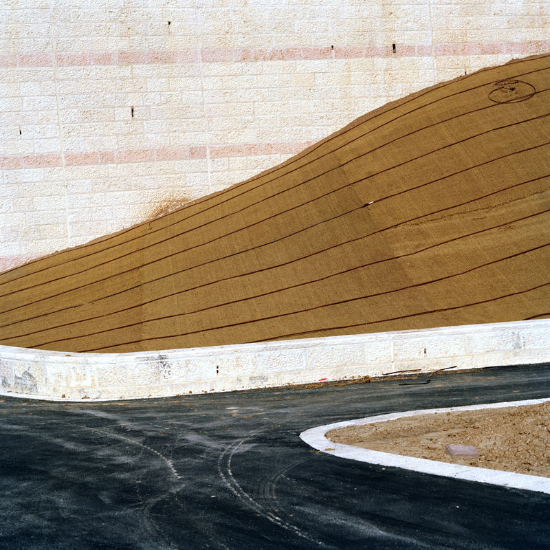 Corinne Silva Untitled from the series Garden State, 2014