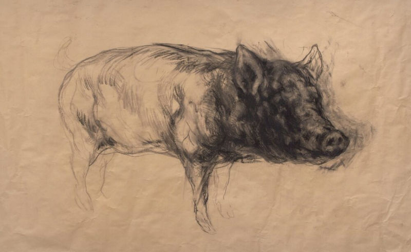Nicola Hicks Untitled (Pig) , 2014