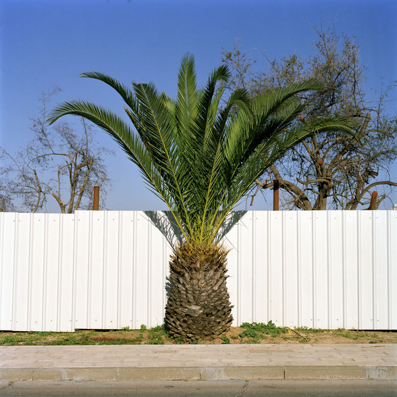 Corinne Silva Untitled from the series Garden State, 2014