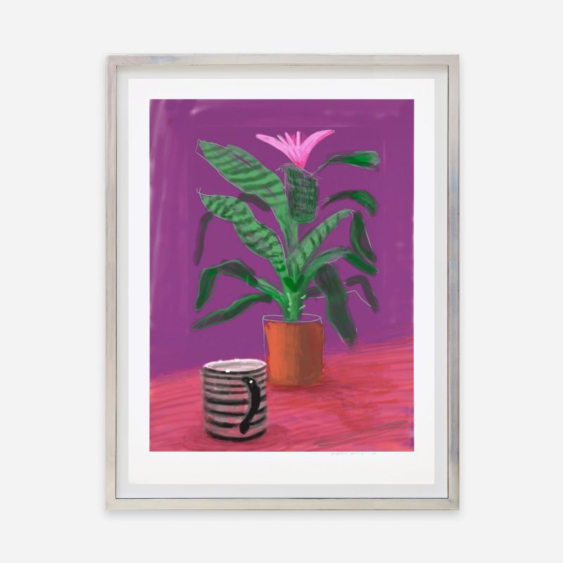 David Hockney Untitled (224) (Striped Mug)