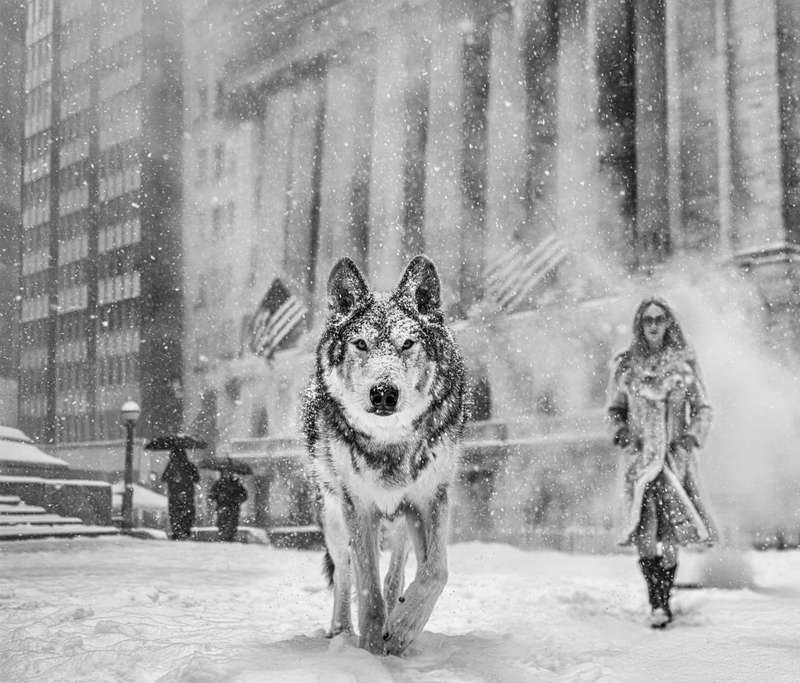 David Yarrow Wall Street Stories Archival Pigment Print