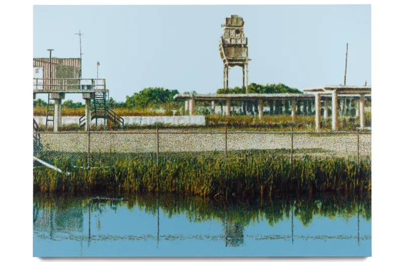 Wayne Gonzales Chevron Plant Ruin, Bayou La Loutre, near Yscloskey, Louisiana, 2018 - 2019
