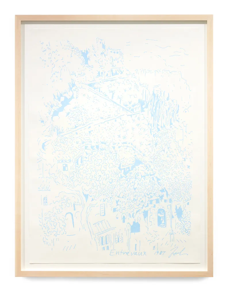 Tom Friedman Entrevaux, France, 2018