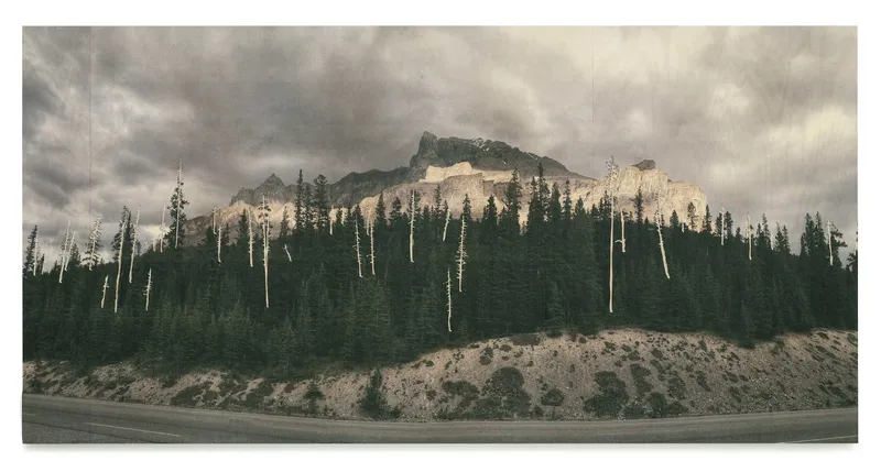 Stephan Balkenhol Wood, 2013