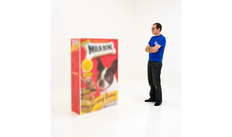 Tom Friedman Milkbone Boxes, 2008