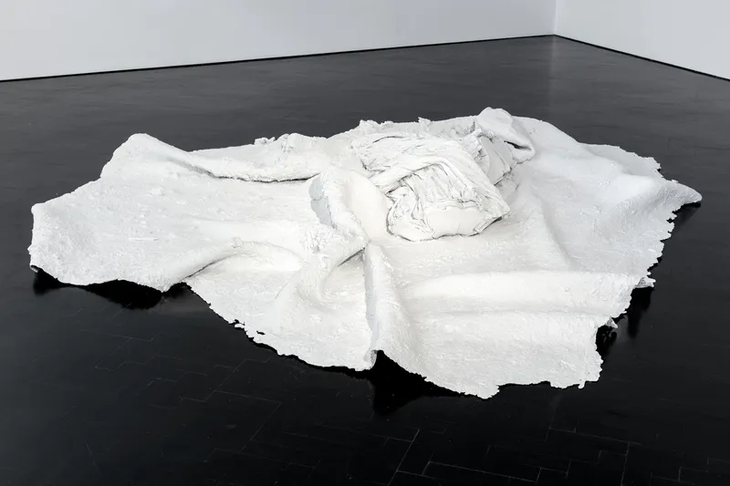 Jim Hodges Skin, 2016