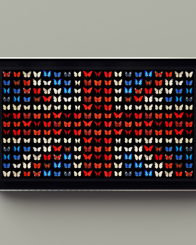 The World Stage by Dominic Harris