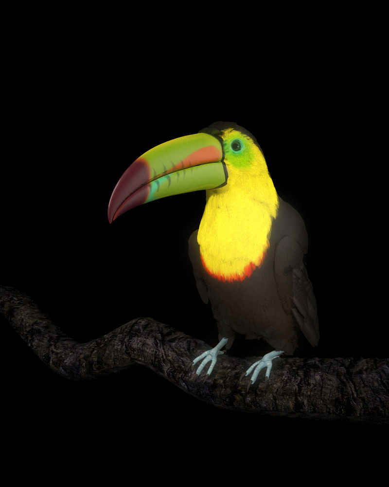 Dominic Harris At the Harrods Tea Room