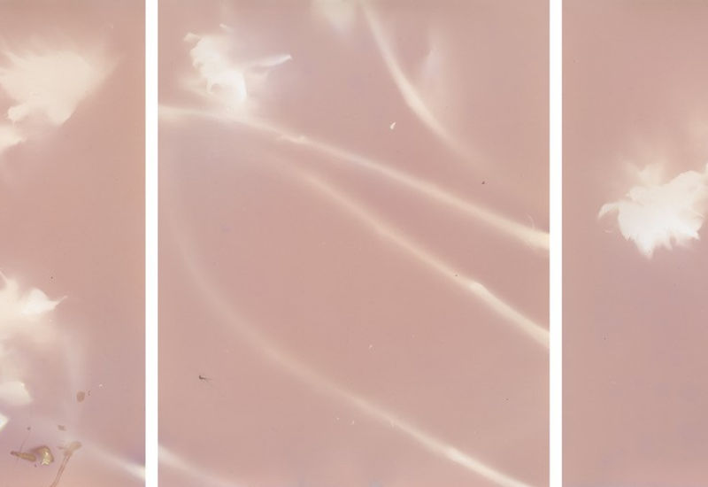 Janelle Lynch featured in The Ekphrastic Review