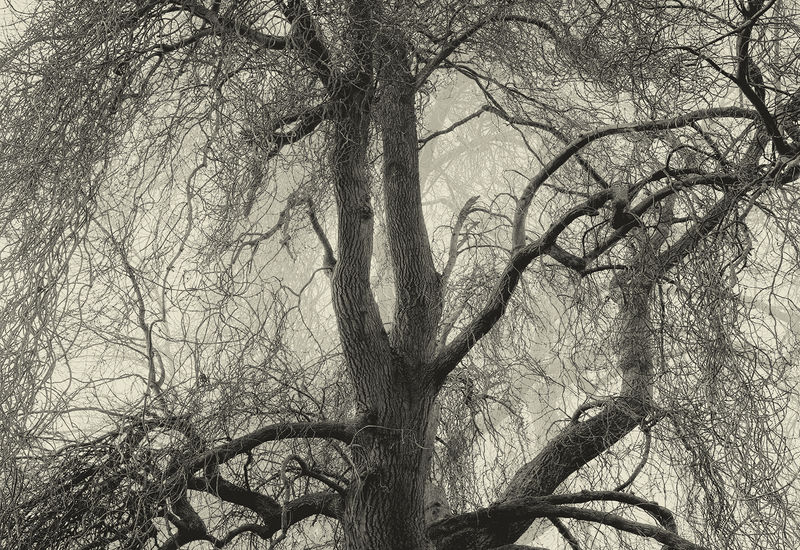 Nadav Kander: After Dark featured in SHOWstudio