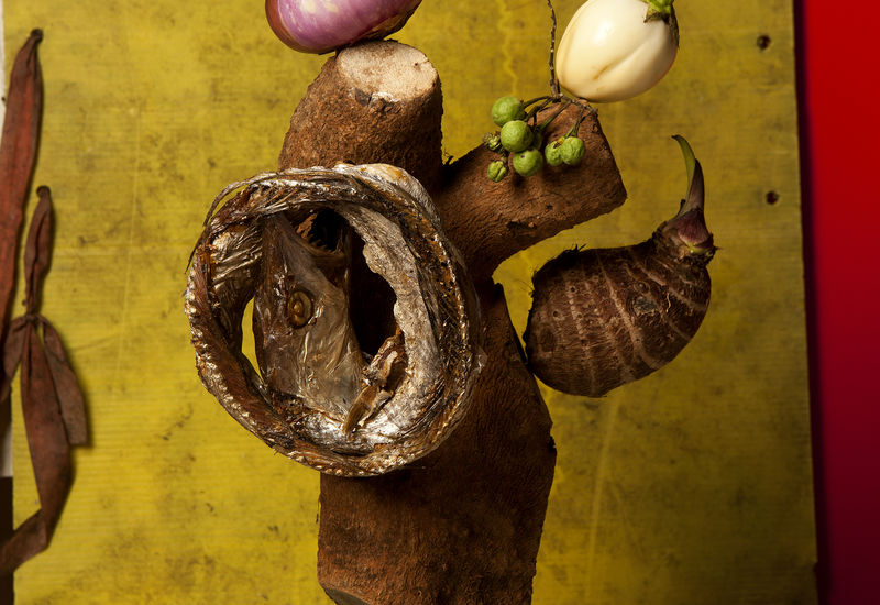 Lorenzo Vitturi featured in Unearthed: Photography&rsquo;s Roots