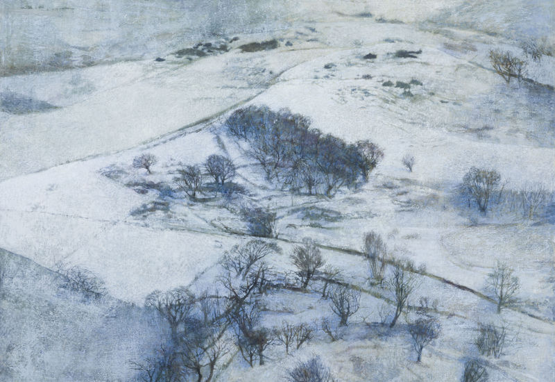 Victoria Crowe featured in the Mayfair Times