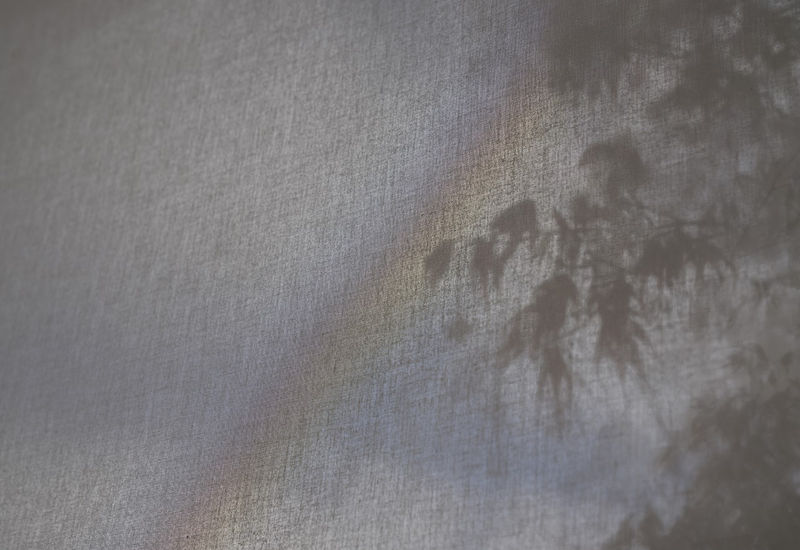 The Guardian Featuring Nadav Kander Through my lockdown lens: 11 leading photographers capture their confinement