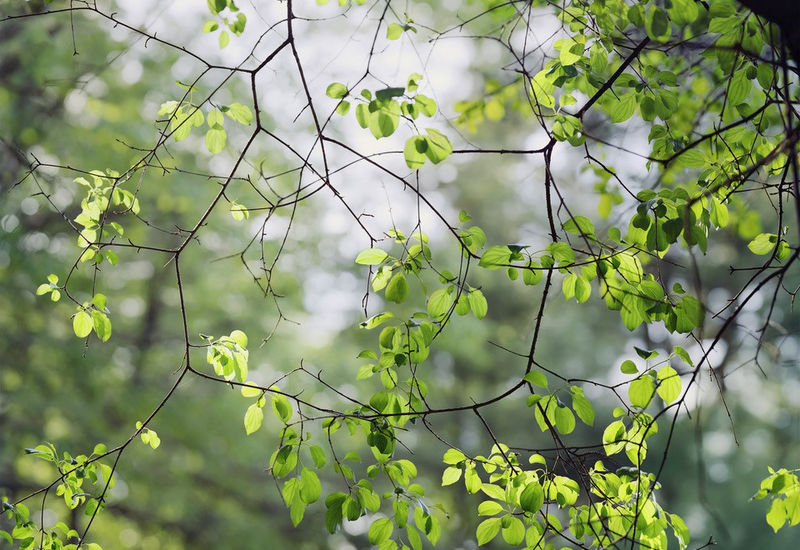 Janelle Lynch Another Way of Looking at Love