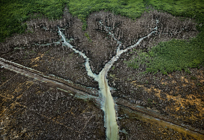 Master of Photography: Edward Burtynsky Talk at Photo London