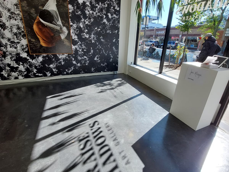 Praise Shadows Art Gallery