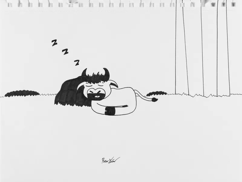 Rocco DiCaro, Untitled (Sleeping Ox) , n.d.