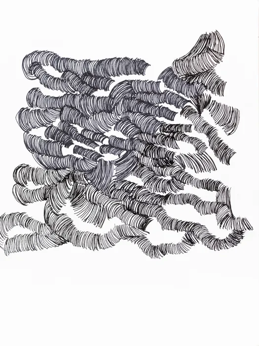 Marcelo Añón, Hair, 2019