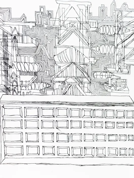 Marcelo Añón, Divergent the Fence Chicago, 2021