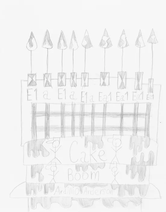 Marcelo Añón, Cake Boom, 2021