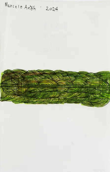 Marcelo Añón, Untitled, 2024