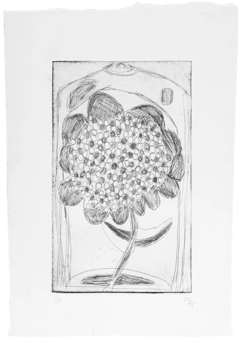 Marcelo Añón, Untitled (Flower), n.d.