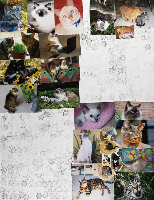 Carol Pyes, Cat Collage 2, 2021
