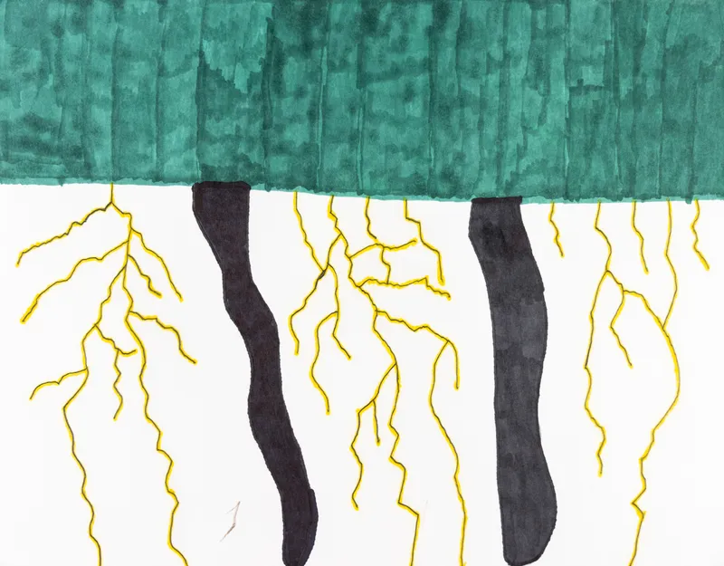 Bill Lilly, Two Sisters , 2017