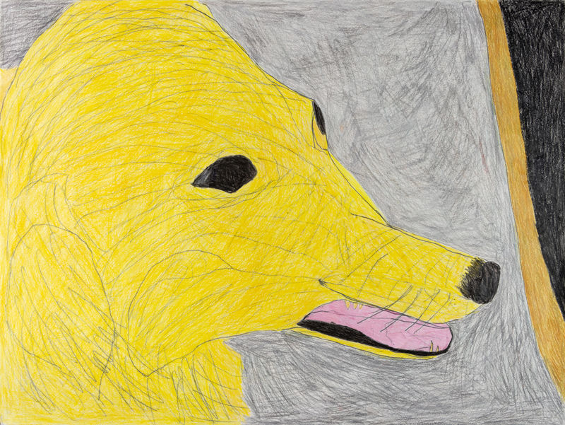 Jack O'Sullivan, Maggie Dog, 2016