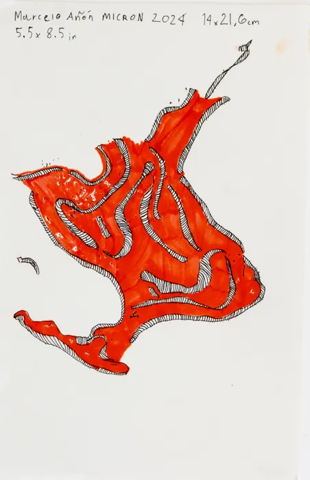Marcelo Añón, Untitled (Micron), 2024