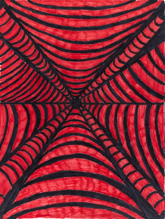 Marcelo Añón, Spider Web, 2021