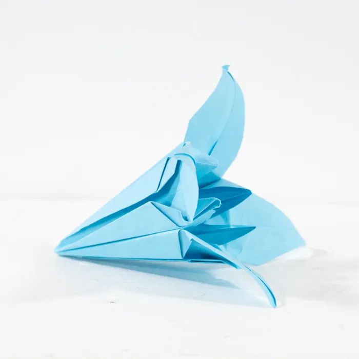 Caroline Chun, Flower (Lilly), 2024