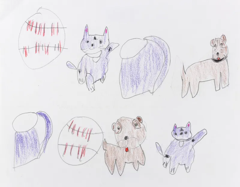 Carol Pyes, Balls, Dogs, Cups, Cats , 2020