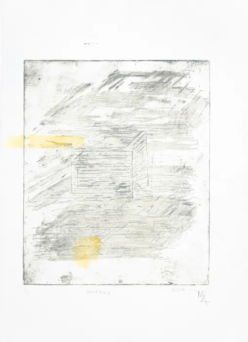 Marcelo Añón, Untitled, 2024