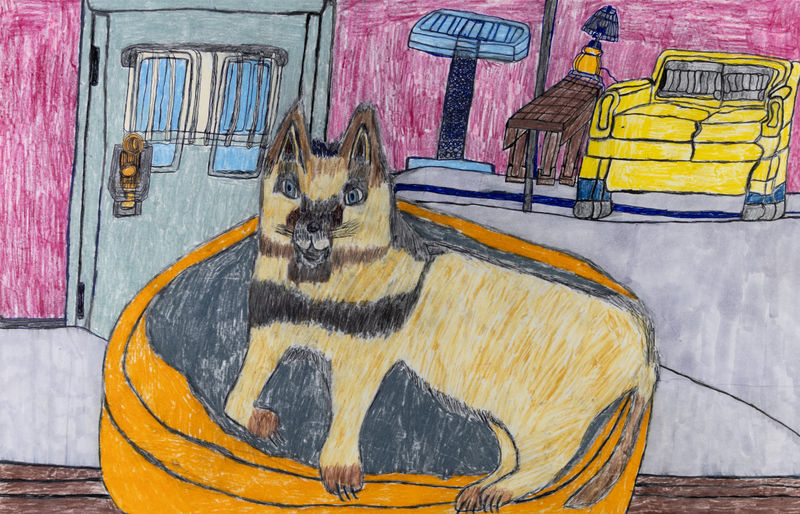 Andrew Sloan, Rocket the Amazing Cat, 2025