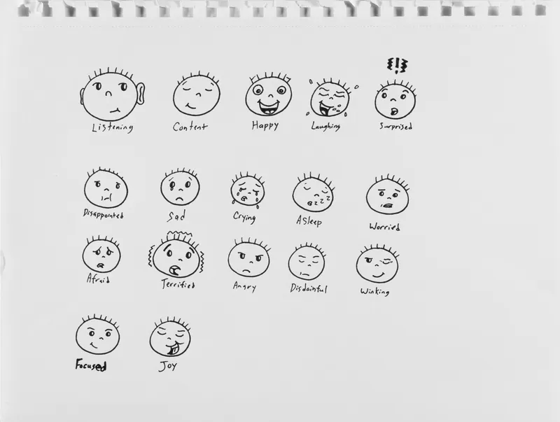 Rocco DiCaro, Emotions Chart Study , n.d.