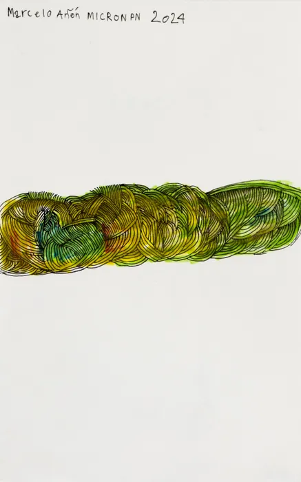Marcelo Añón, Untitled (Mircon PN), 2024
