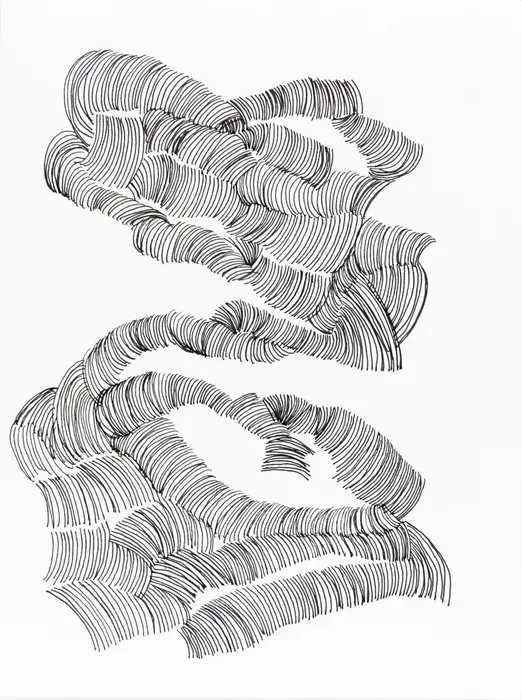 Marcelo Añón, Hair, 2019