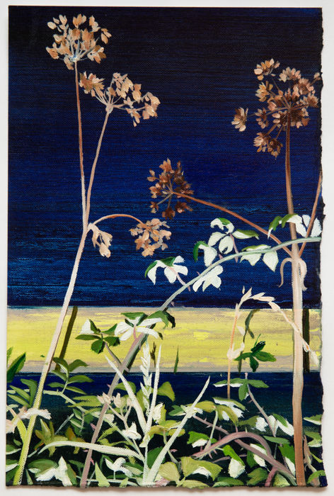 David Edmond, Flora A6, 2022