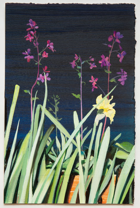 David Edmond, Flora A7, 2022