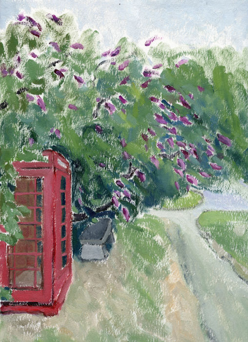 LI Shan 李珊, Buddleia and The Telephone Box (Memories about England) 醉鱼草和电话亭(英国记忆）, 2020