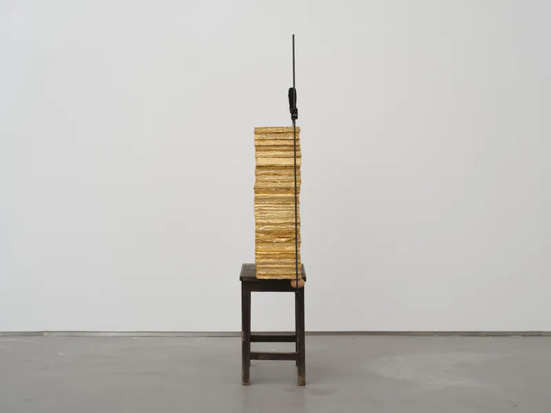 LIU Ren 刘任, Crash 撞击, 2018