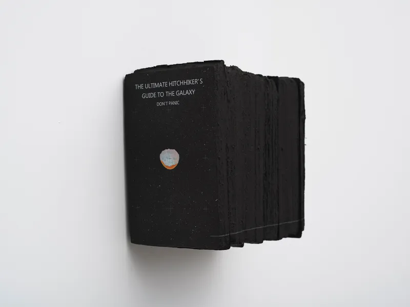 LIU Ren 刘任, Hi there, See You in a Billion Years 你好, 10亿年后再见, 2018