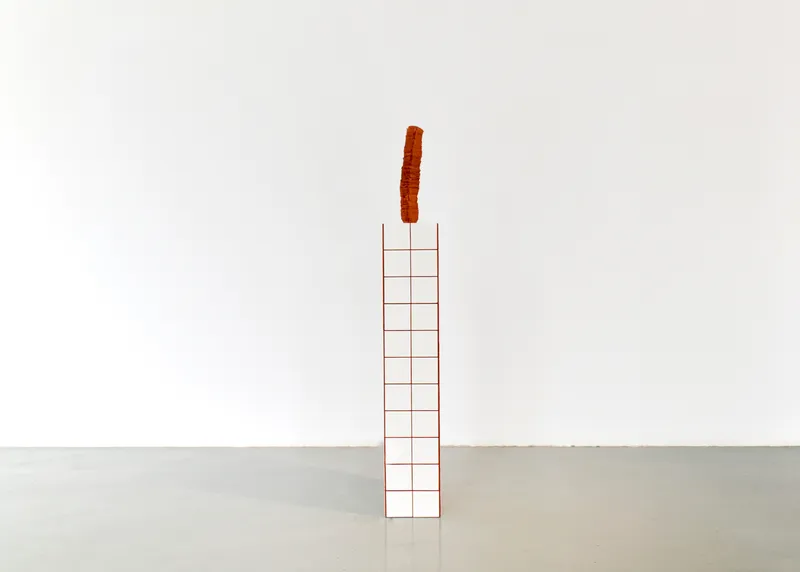 ZHANG Ruyi 张如怡, Behind that Thing 事物的背面, 2017