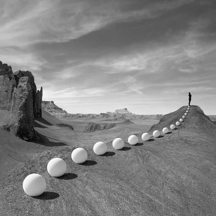 Astrid Verhoef, Human Nature 23, 2022